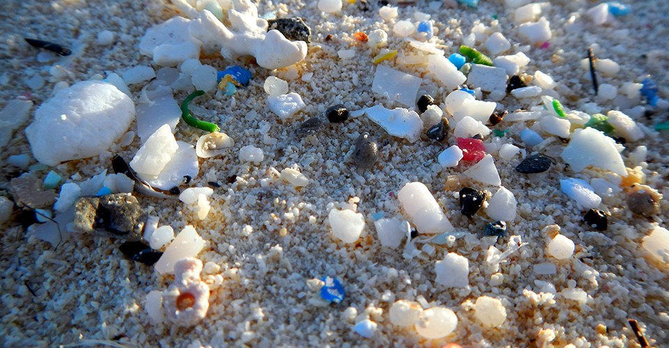 Robert Emberson: Microplastic – Too Important to Ignore