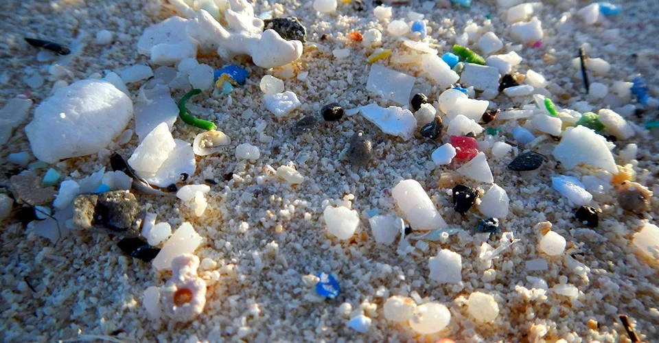 Robert Emberson: Microplastic – Too Important to Ignore