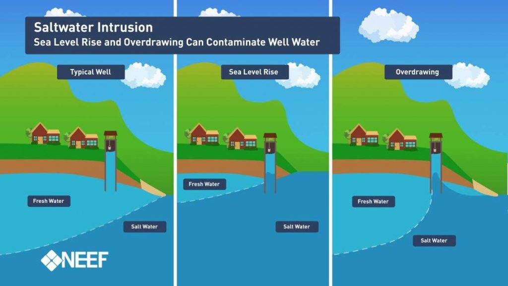 Saltwater intrusion: causes, impacts and mitigation