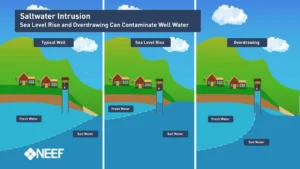 Saltwater intrusion: causes, impacts and mitigation