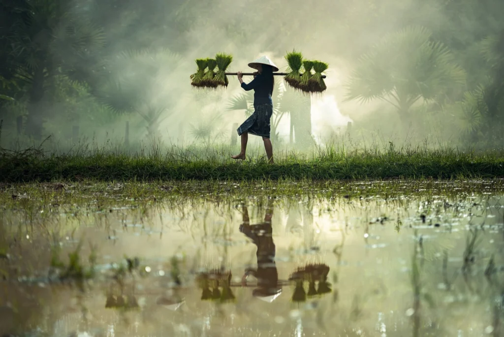 What would you do in the minute before an Earthquake? Do our planet’s environmental limits hamper socio-economic development? Find out in Jesse Zondervan’s Feb  – Mar 7 2018 #GfGDpicks #SciComm