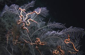 New mining frontiers: Digging into the unknown