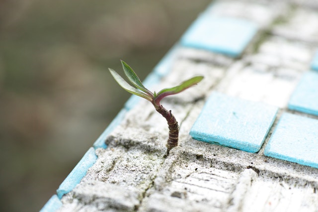Climate change: to mitigate or to adapt? Managing disaster: Cyclone Fani in India, a stronger Atlantic hurricane season. That and more in Jesse Zondervan’s May 2019 #GfGDpicks #SciComm