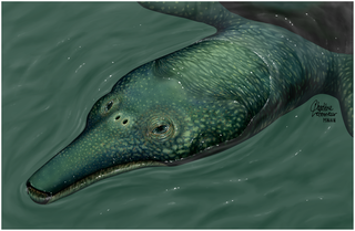 Life reconstruction of Ocepechelon. (C. Letenneur, protected with a CC-BY license)