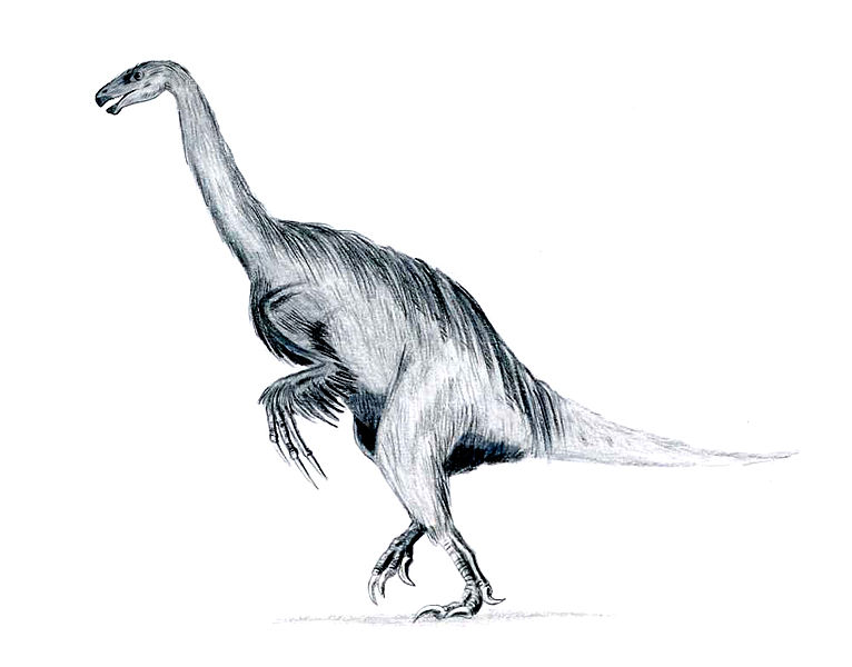 Wonderful restoration of Erlikosaurus (source)