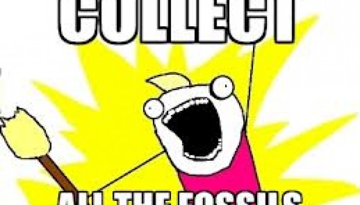 Can fossil mammals help us with our conservation efforts?