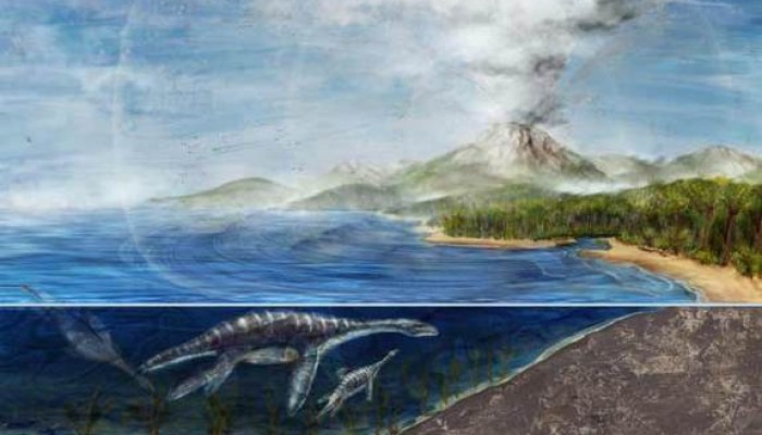 How fast was the demise of the dinosaurs?