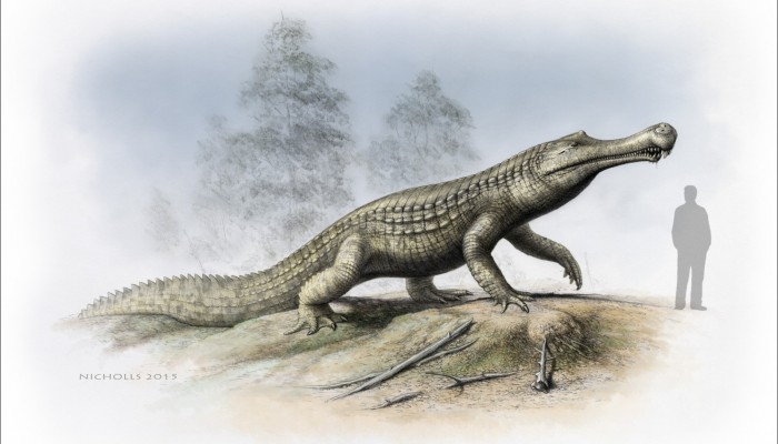 Crocodiles feeling the heat of extinction