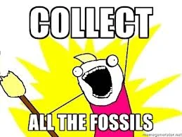 Can fossil mammals help us with our conservation efforts?