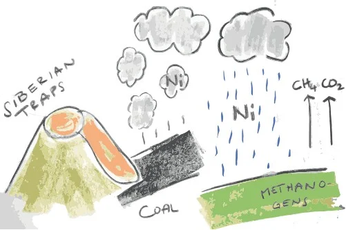 Molecular clocks and the End-Permian mass extinction