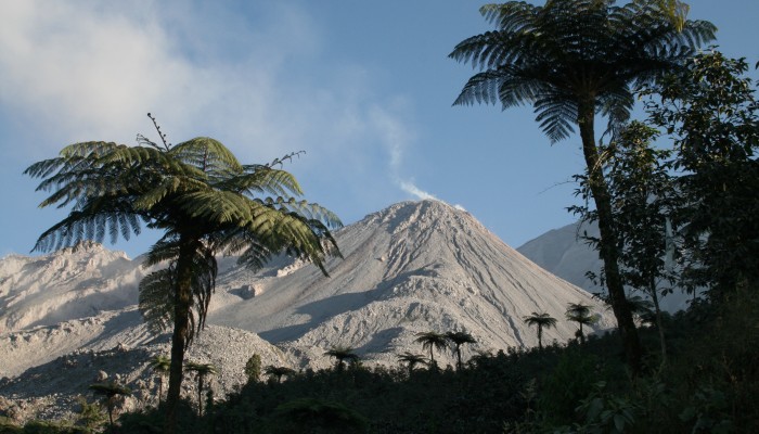 Santiaguito Volcano: Ninety Years and Counting.