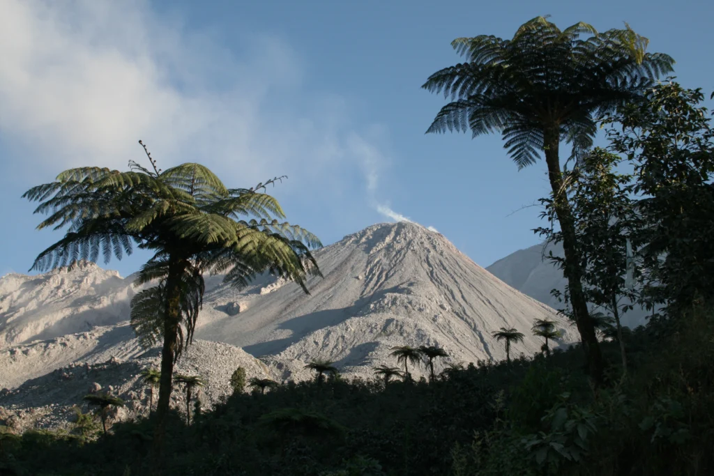 Santiaguito Volcano: Ninety Years and Counting.