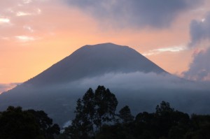 One year of volcanicdegassing
