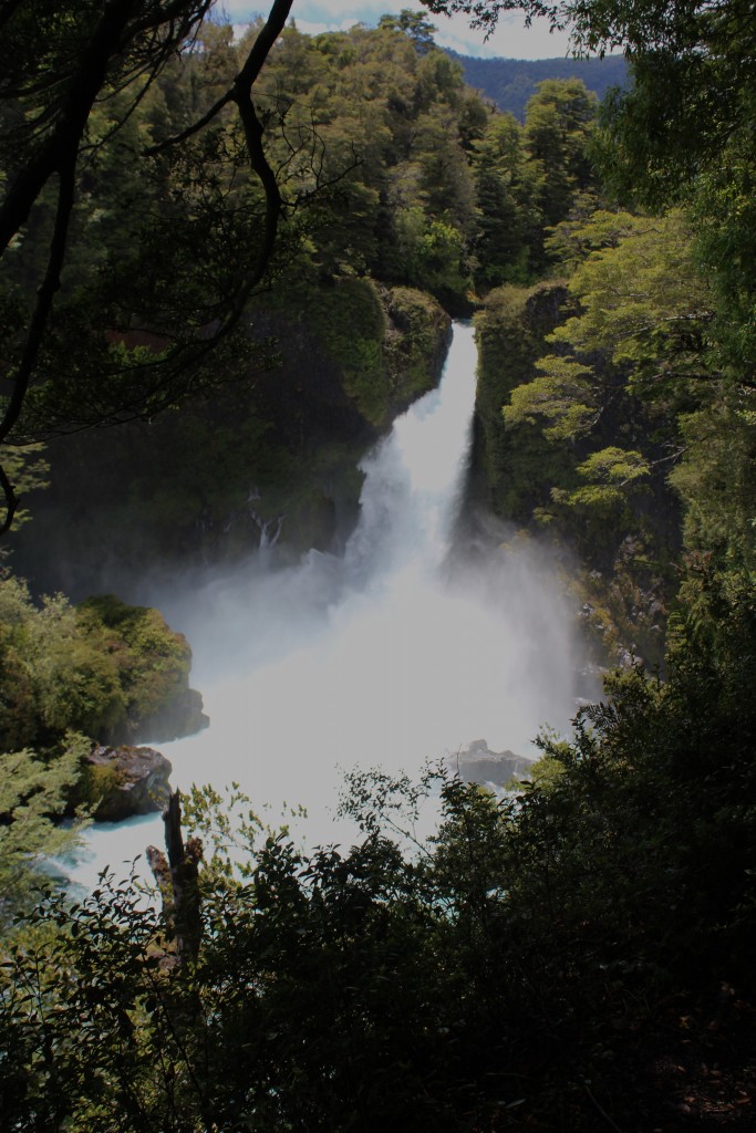Taking the pulse of a large volcano: Mocho-Choshuenco, Chile