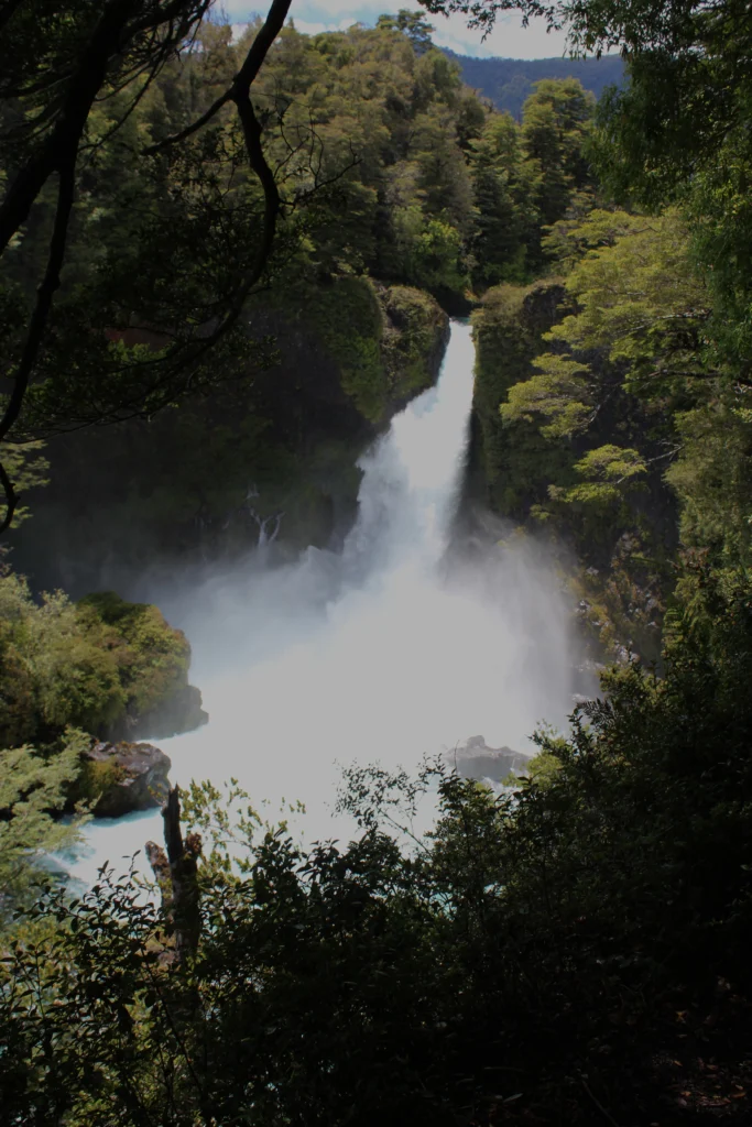Taking the pulse of a large volcano: Mocho-Choshuenco, Chile