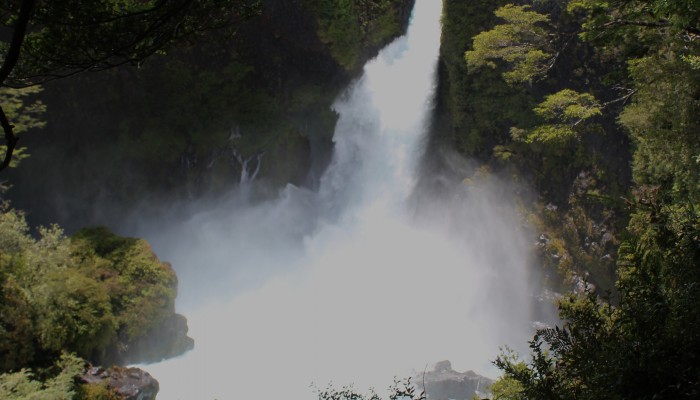 Taking the pulse of a large volcano: Mocho-Choshuenco, Chile