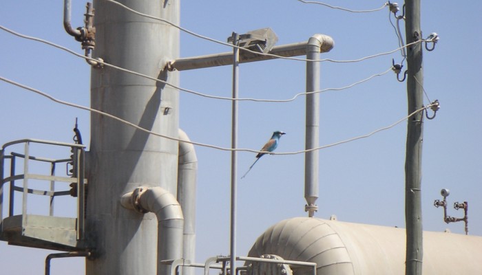 Energy Poverty and Geothermal Energy Futures