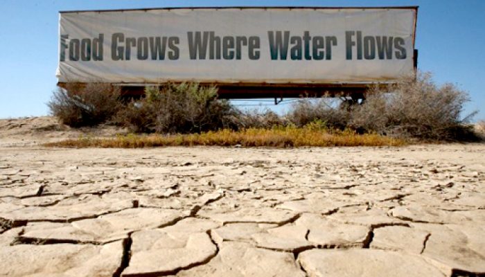 Is groundwater depletion keeping California fruit and veggies cheap during the severe drought?