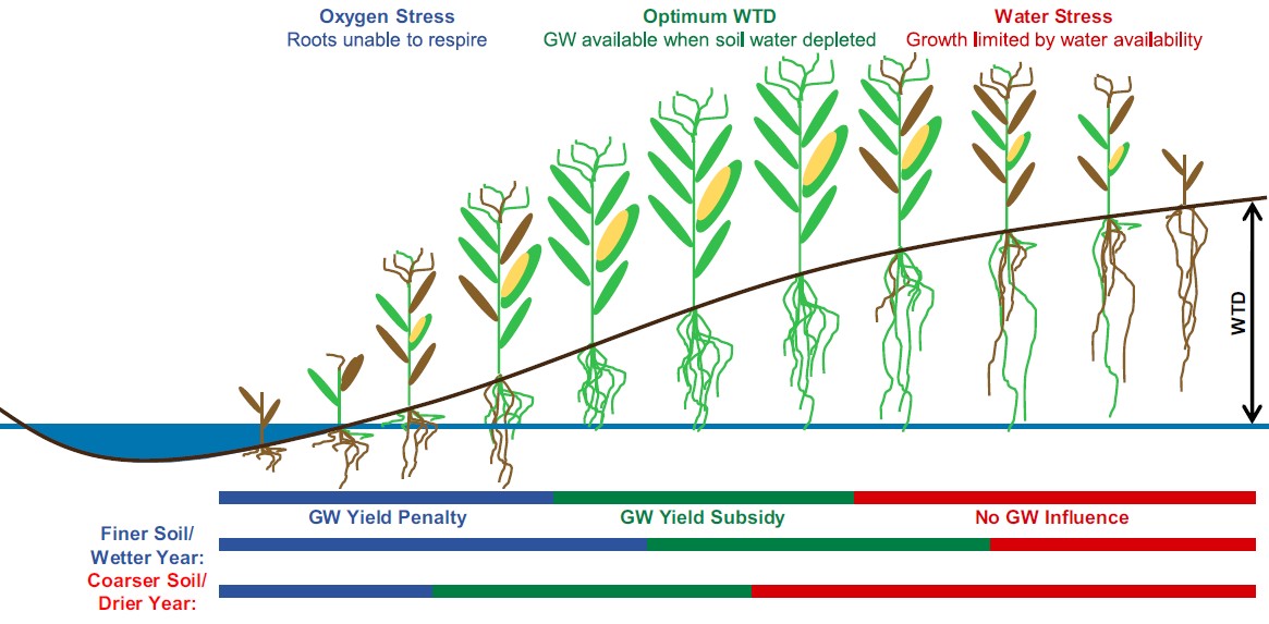 Water Underground Groundwater and Agriculture Tapping the Hidden Benefits