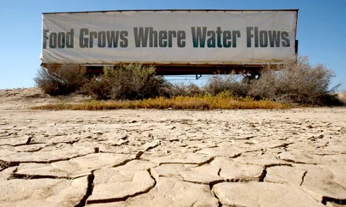 Is groundwater depletion keeping California fruit and veggies cheap during the severe drought?
