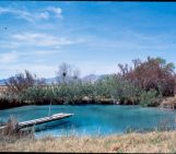 The Groundwater Wetlands and Bogs Study Group