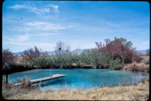 The Groundwater Wetlands and Bogs Study Group