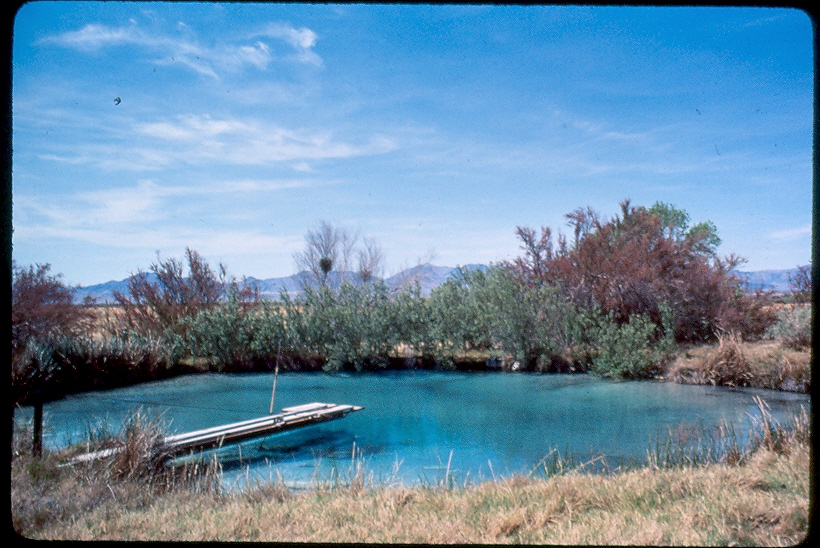 The Groundwater Wetlands and Bogs Study Group
