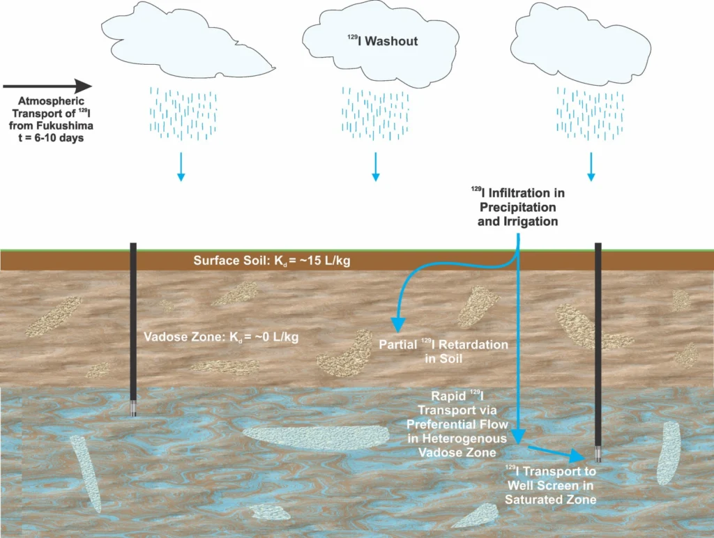 Tracking the Fallout and Fate of Fukushima Iodine-129 in Rain and Groundwater