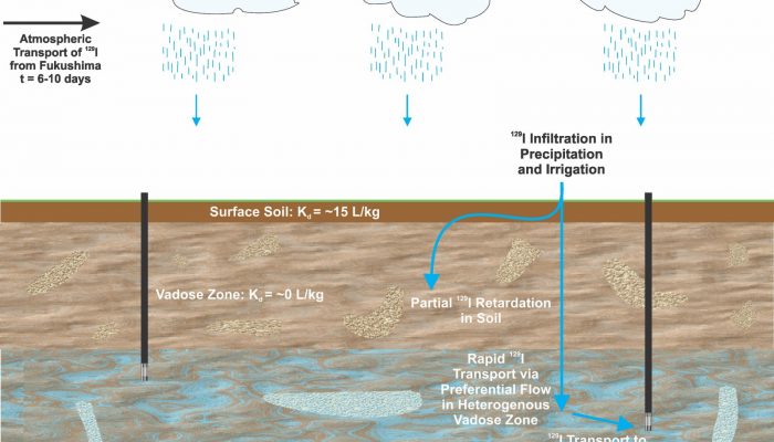 Tracking the Fallout and Fate of Fukushima Iodine-129 in Rain and Groundwater