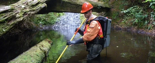 What is a hydrogeologist?