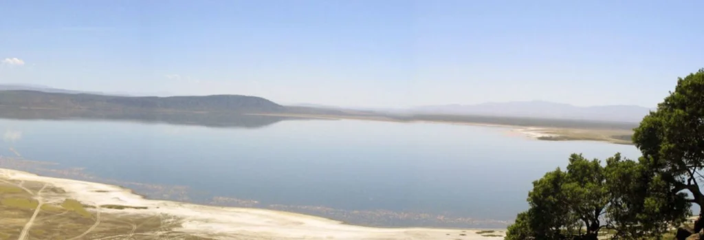 How prehistoric water pit stops may have driven human evolution