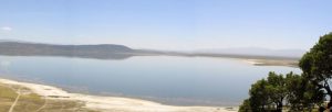 How prehistoric water pit stops may have driven human evolution