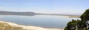 How prehistoric water pit stops may have driven human evolution