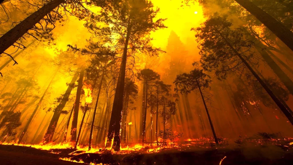 Fire and groundwater