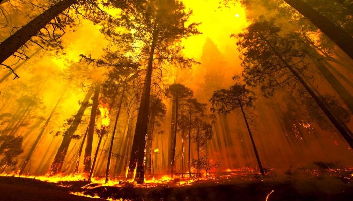 Fire and groundwater