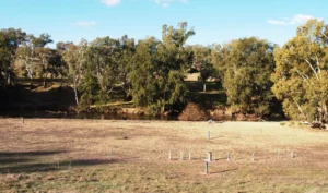 Groundwater organic matter: carbon source or sink?