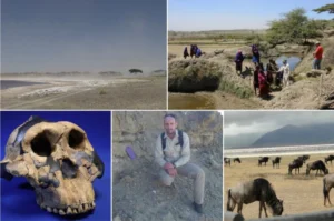 A Tanzanian groundwater safari through the last 2 million years