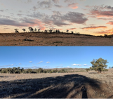 Groundwater and drought