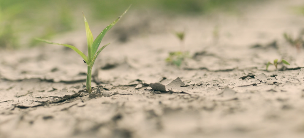 Update on the groundwater situation in Cape Town