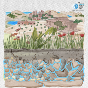 Bright Spots in Groundwater Management