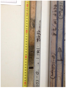 The darker sapropelic layer is clearly visible in this photographic core log. Photograph used with the kind permission of Dr Mike Rogerson, University of Hull.