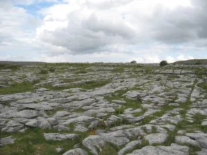 Limestone pavements typical of The Burren. Photo: Uploaded to WikiCommons by HEireann.
