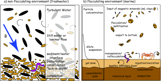How a DRM is acquired in sediments. Source: http://magician.ucsd.edu/essentials/WebBookse40.html