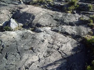 Striated bedrock near Cerro Chirripó. Photo courtesy of Scott Schillereff. 