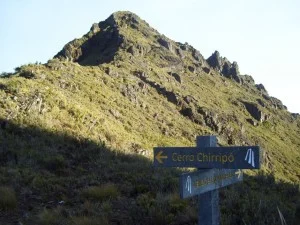 The summit of Chirrippo (trail with hikers on left for scale). Photo courtesy of Scott Schillereff. 