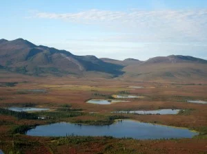 Permafrost and Arctic lakes of the Kobuk River valley, Alaska. Source - 16Terezka, Wikimedia Commons.