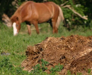 Prior to use of phosphate rock, it was replenished through the use of manure. 