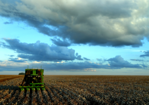 800px-Agriculture_in_Brazil