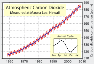 Atmospheric CO2 concentrations measured at Mauna Loa, Hawaii - Source:  Robert A. Rohde, Wikimedia Commons.