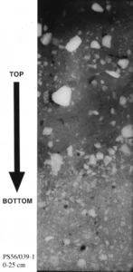 X-ray photo of surface sediment (0-25 cm) from the Southern Ocean with scattered gravel as ice rafted debris - Source: Hannes Grobe/AWI, Wikimedia Commons.